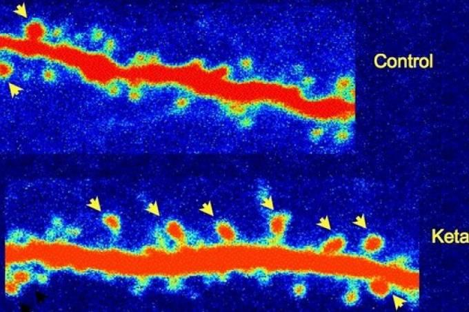 Antidepressivo “Mágico” Antidepressivo “Mágico”